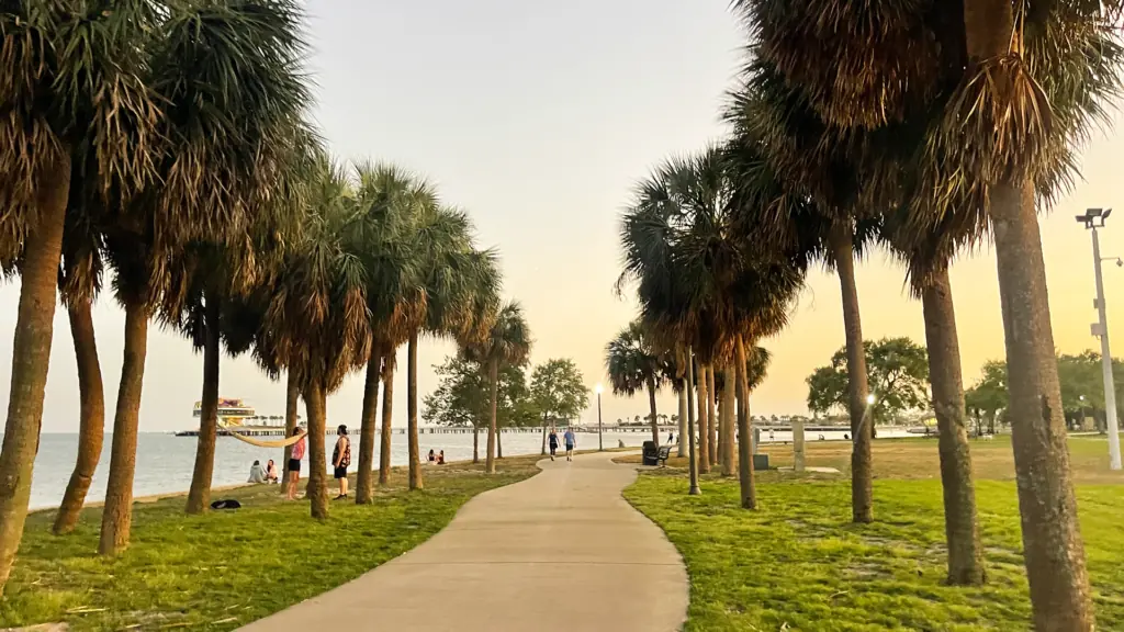 a waterfront park at sunset. A sidewalk is lined on either side with palm trees.
