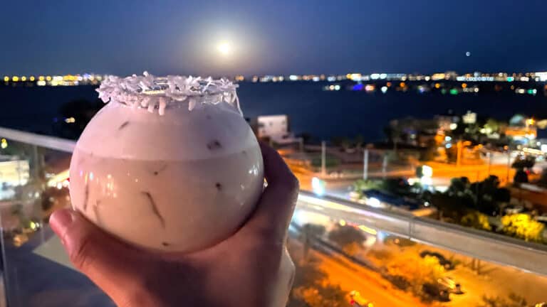 A snowstorm cocktail in an orb glass held up with the full moon in the background