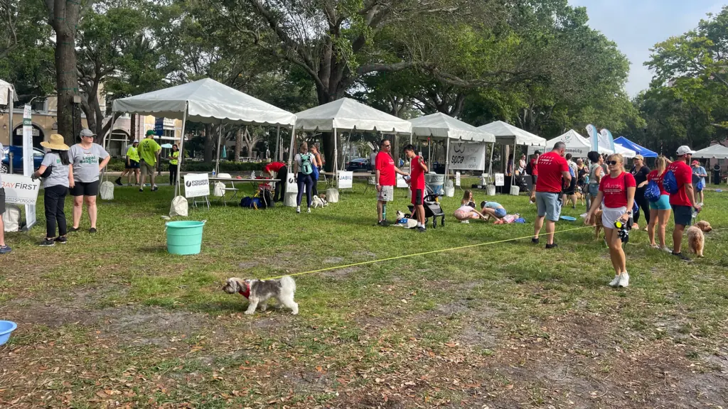 vendors set up tents at a waterfront park in Tampa