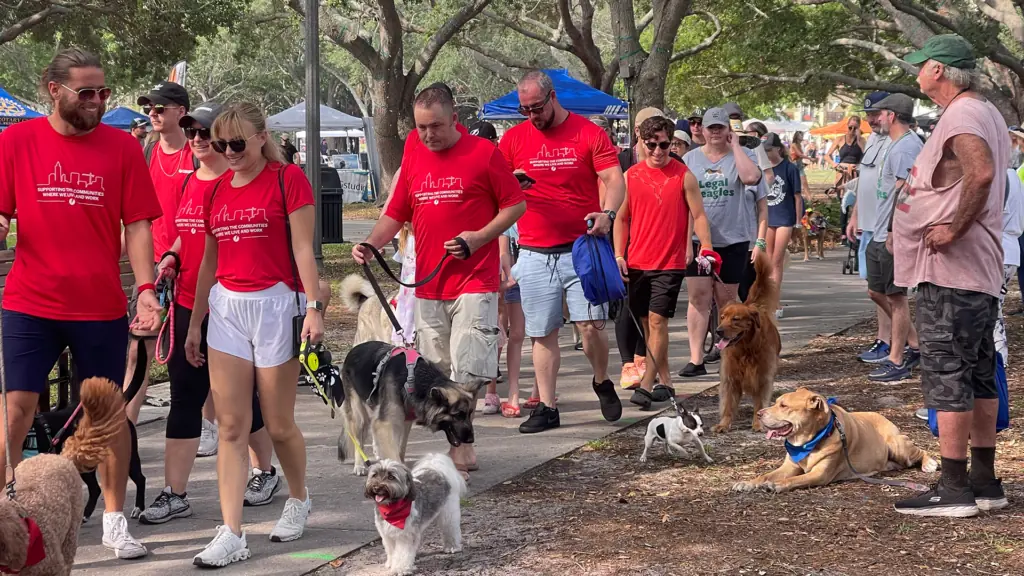 Multiple people in matching shirts walks dogs around a waterfront park