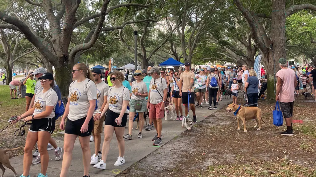 hundreds of people walk at a waterfront park with their pups