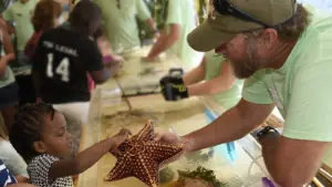 young girl touching a starfish at MarineQuest touch tank