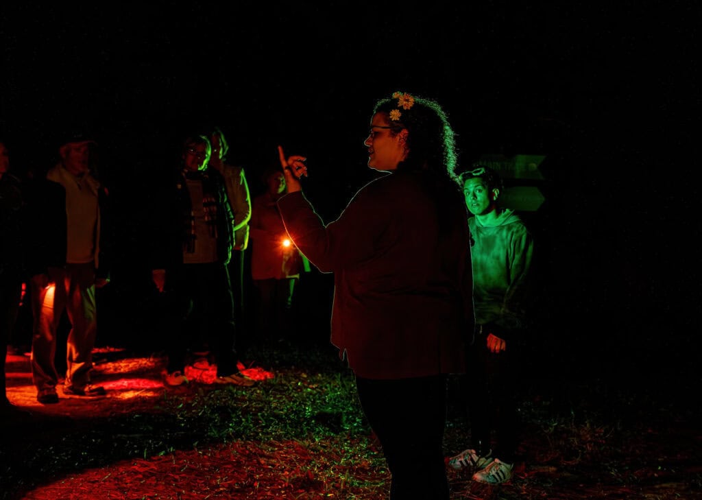 People at an outdoor stage performance