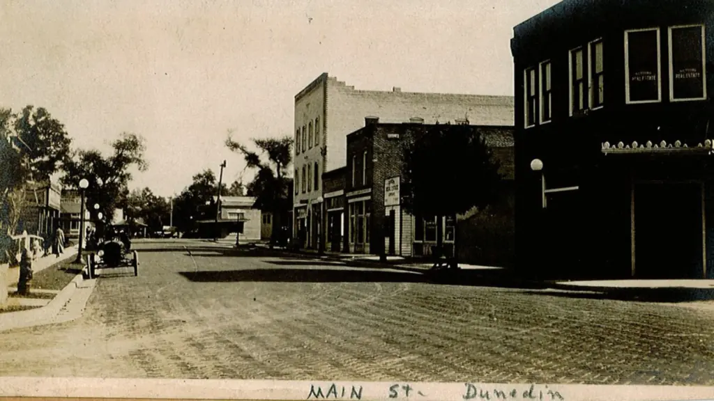 Main Street Dunedin 100 years ago