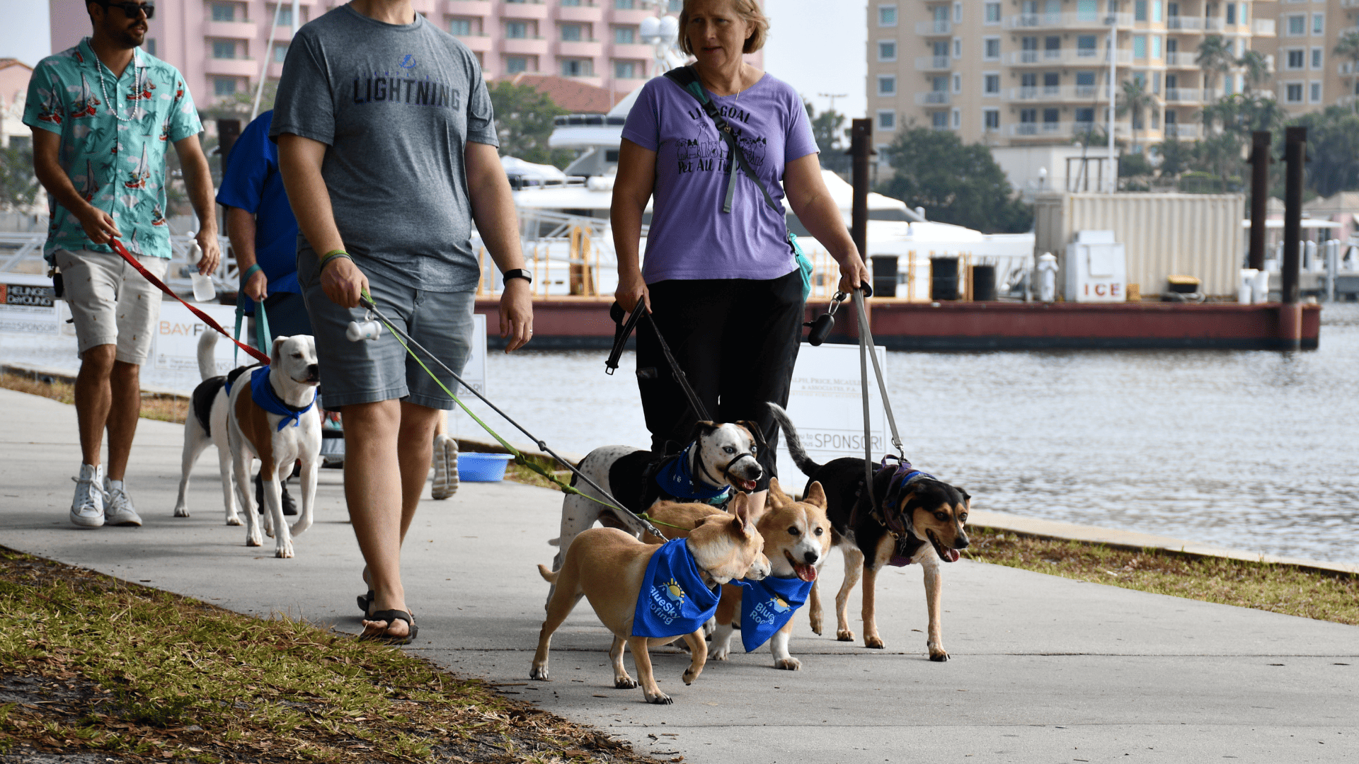 SPCA Tampa Bay goes big with two locations for 33rd annual Pet Walk in