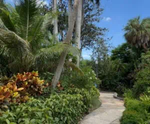 inside a living museum with tree lined pathways