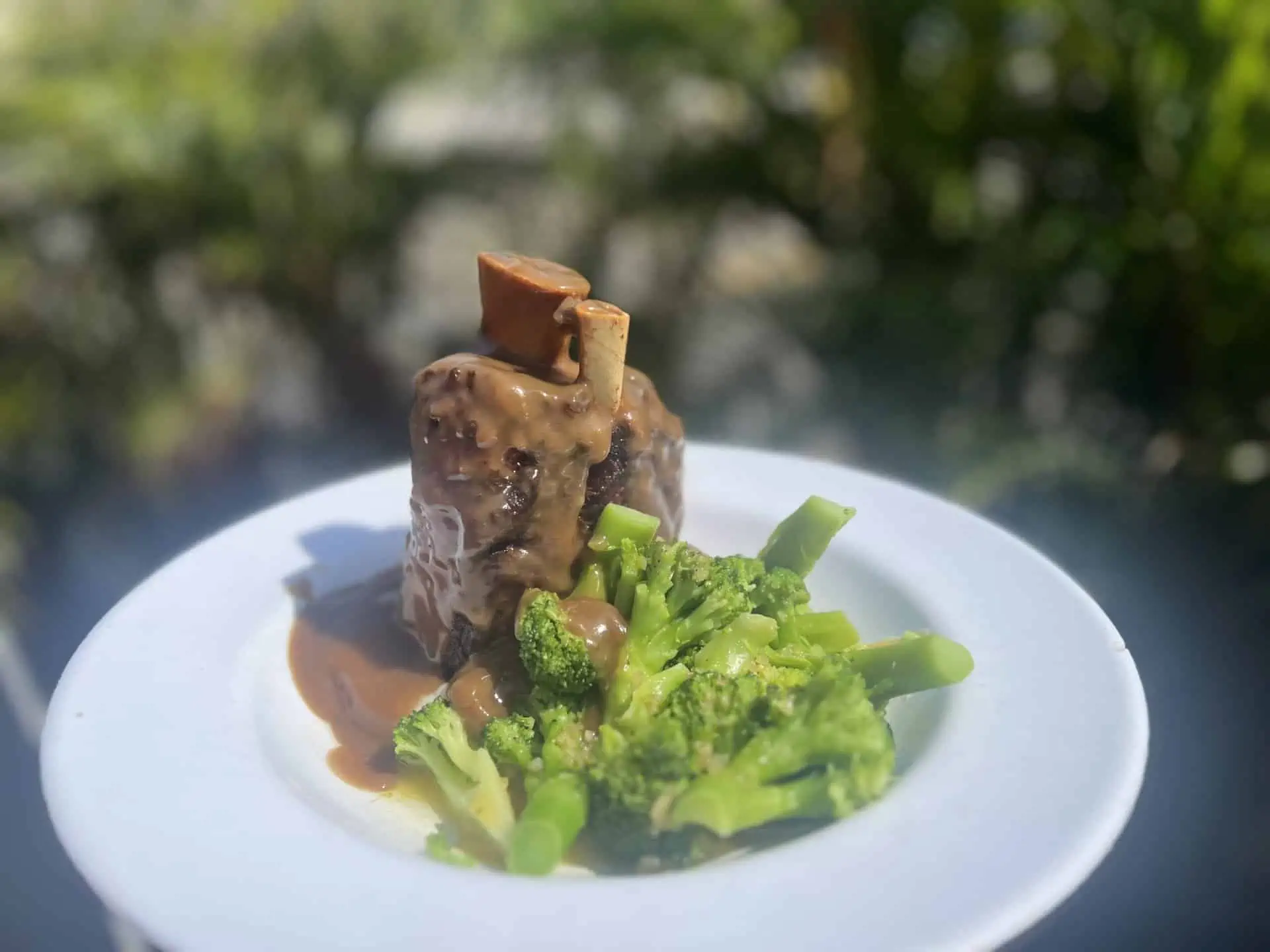 Osso Bucco on a table, a plate with protein covered in a brown sauce with a side of fresh greens