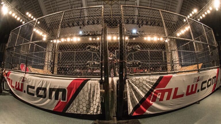 two wrestling rings pushed together with steel cages placed around each.
