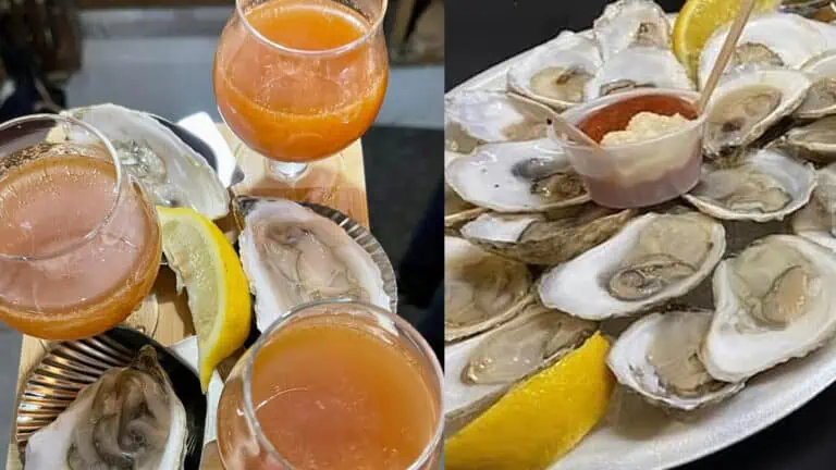 Beers in glasses surrounded by oysters and lemon slices