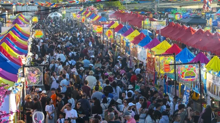 aerial view of a large food festival