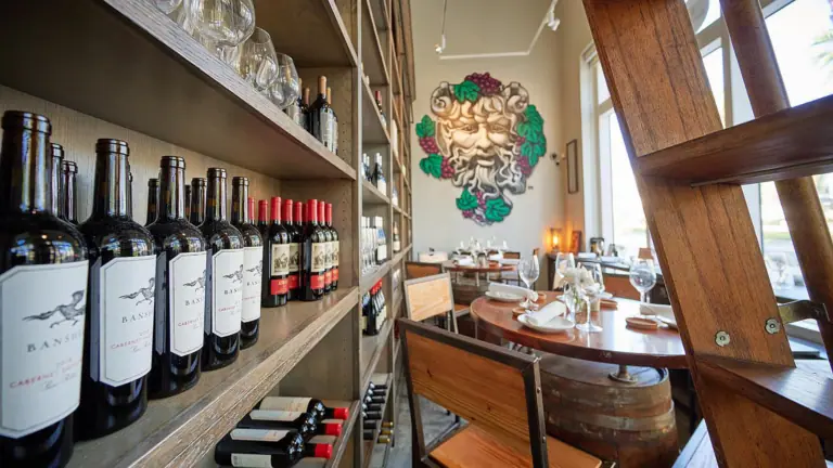 interior of a wine bar with a ladder on a swivel moving between multiple shelves of wine