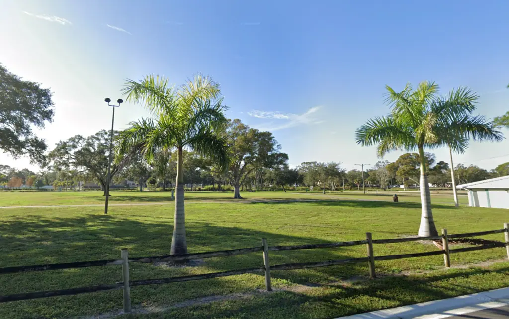 green space with multiple palm trees
