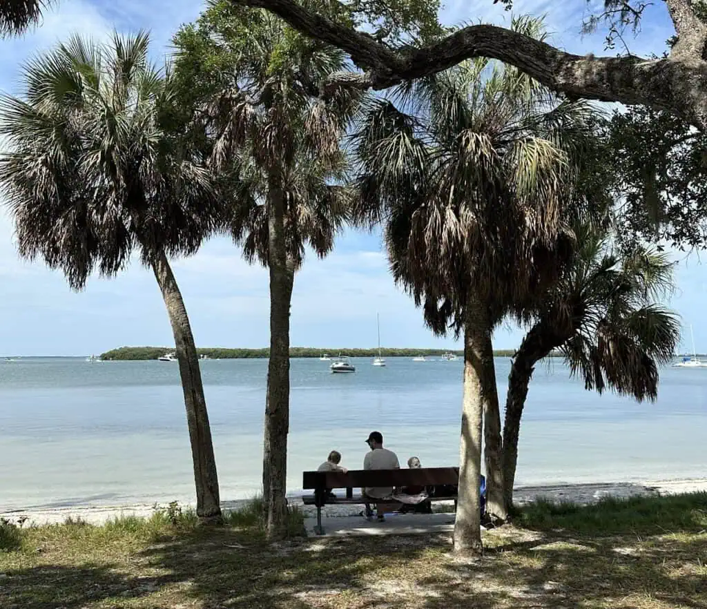 Father and child sitting on bench looking over the bay surrounded by palm trees