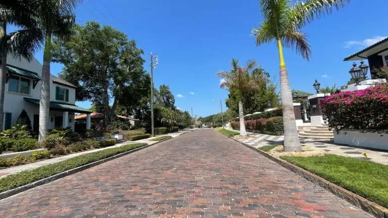 a brick street with palm trees on either side of the road