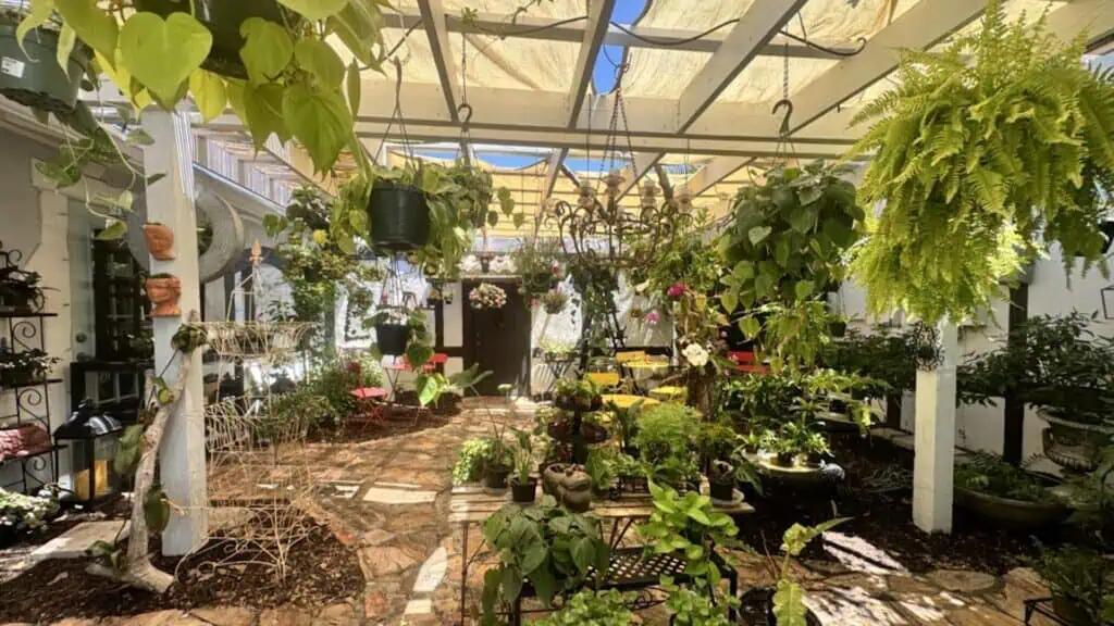 a garden area with tables open