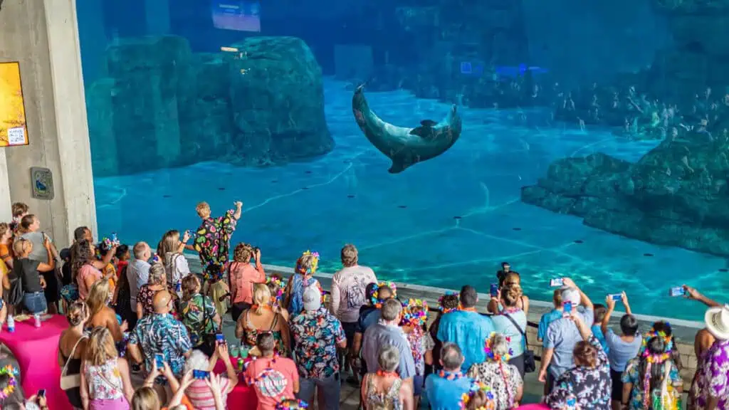 a group of people watch a dolphin at an aquarium