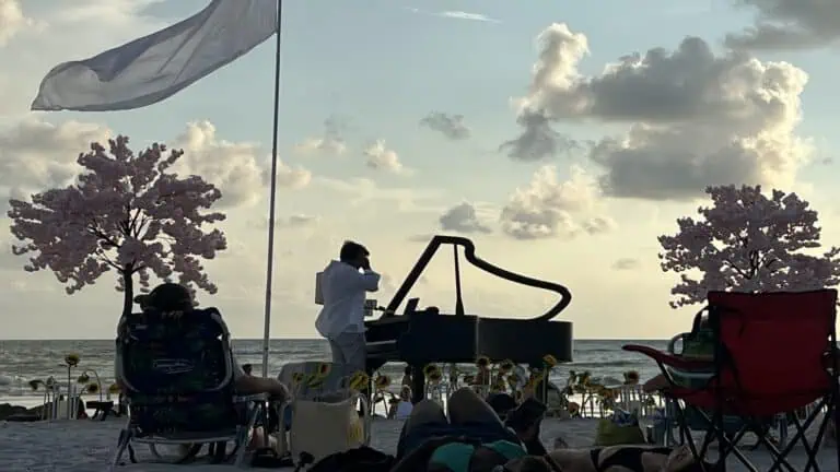 two trees on beach with a pianist standing by a piano in between the trees.