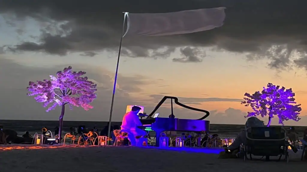 two trees lit up with LED lights at beach at night with a pianist playing in between.