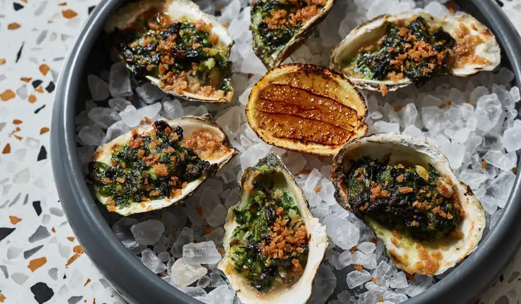 oysters on a plate