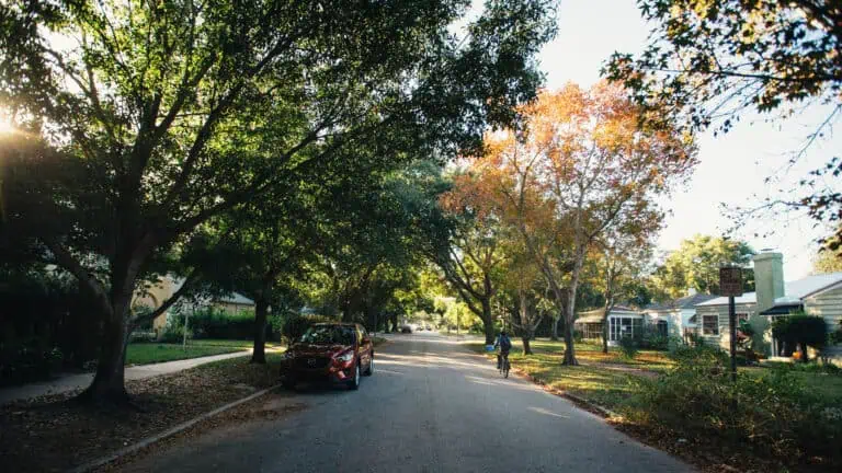 hade trees over a small neighborhood street