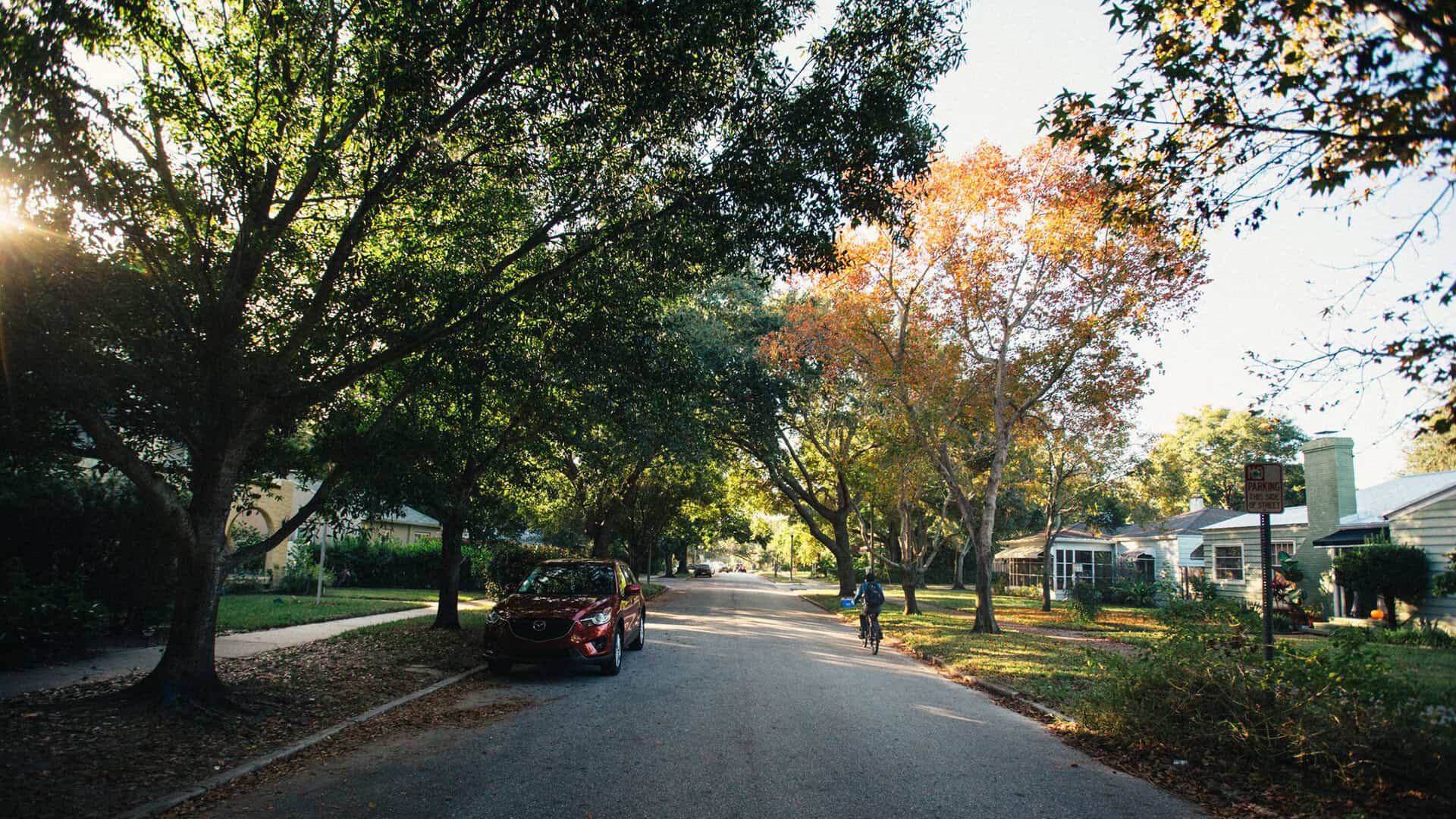 St. Pete wants to plant more shade trees throughout the city