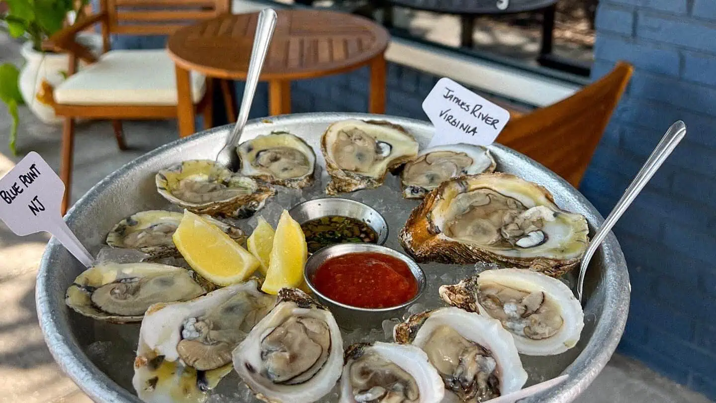 A plate of oysters outside