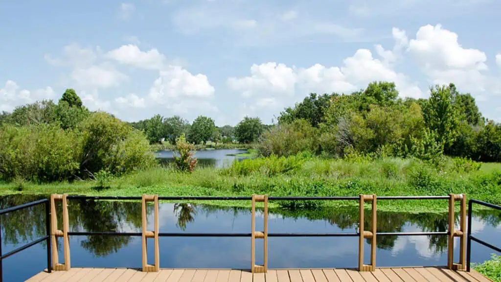 a waterfront view at a park