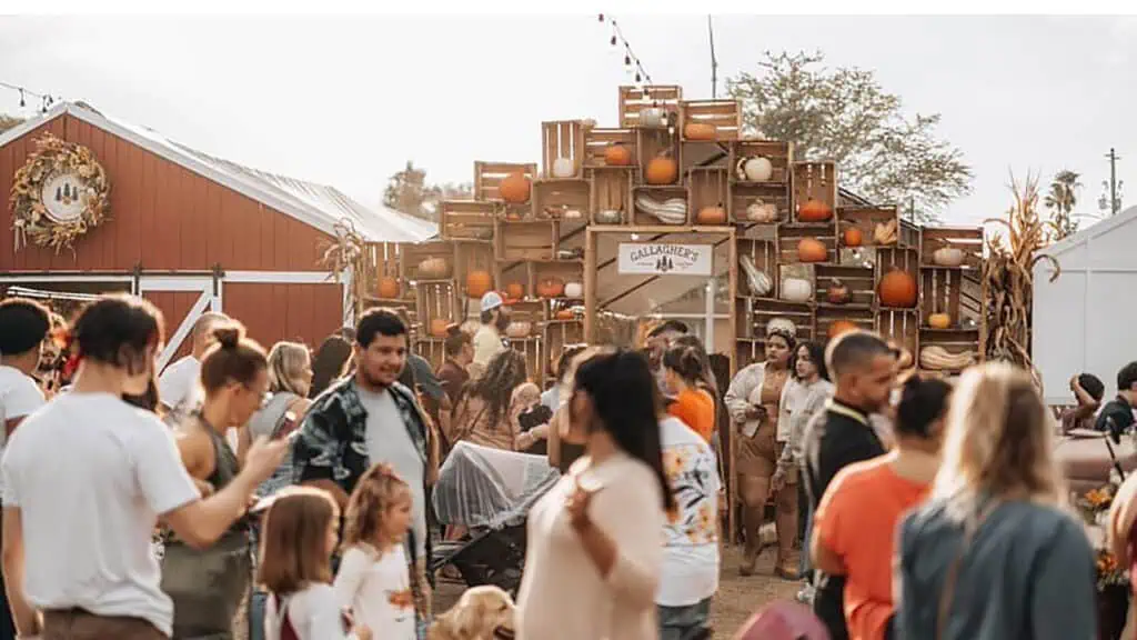 a large pumpkin patch with people shopping and taking pictures 