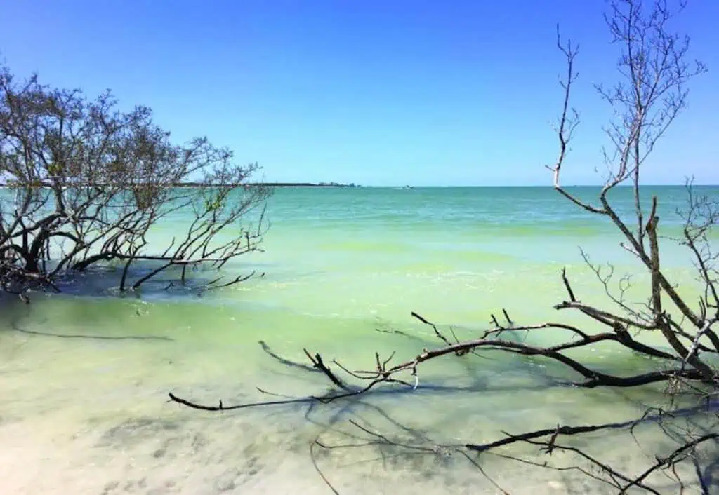 a body of water - the water is clear and crystal blue