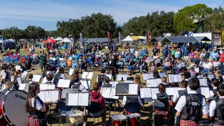 a bunch of people at a music festival in Celtic outfits