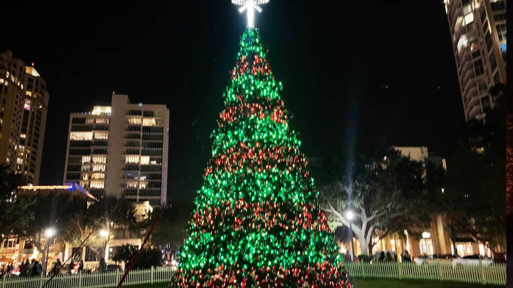 a large Christmas tree in a park