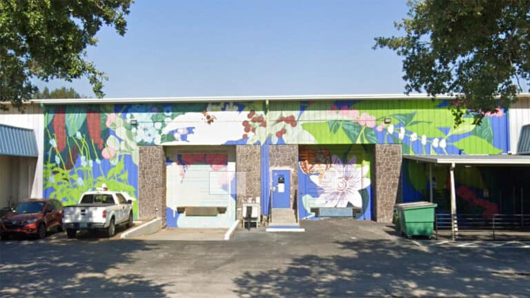 a mural covered warehouse in an industrial park on a sunny day