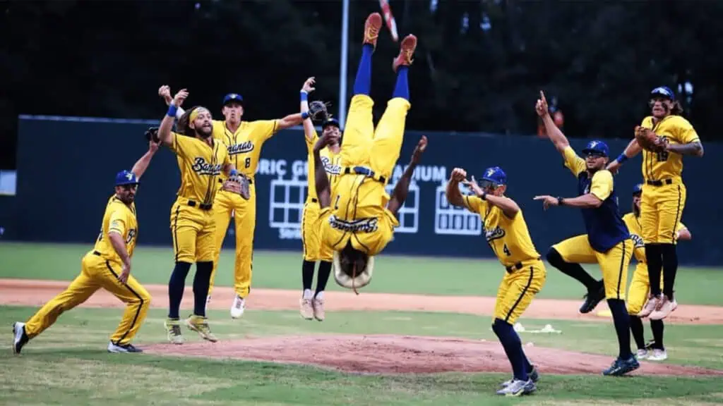 a group of baseball players on a field jumping