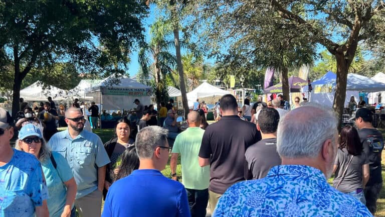 people gather at a food festival with multiple vendors set up