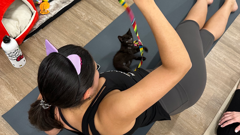 A person wearing cat ears plays with a small black kitten using a colorful ribbon while lying on a yoga mat, with pet supplies visible nearby.