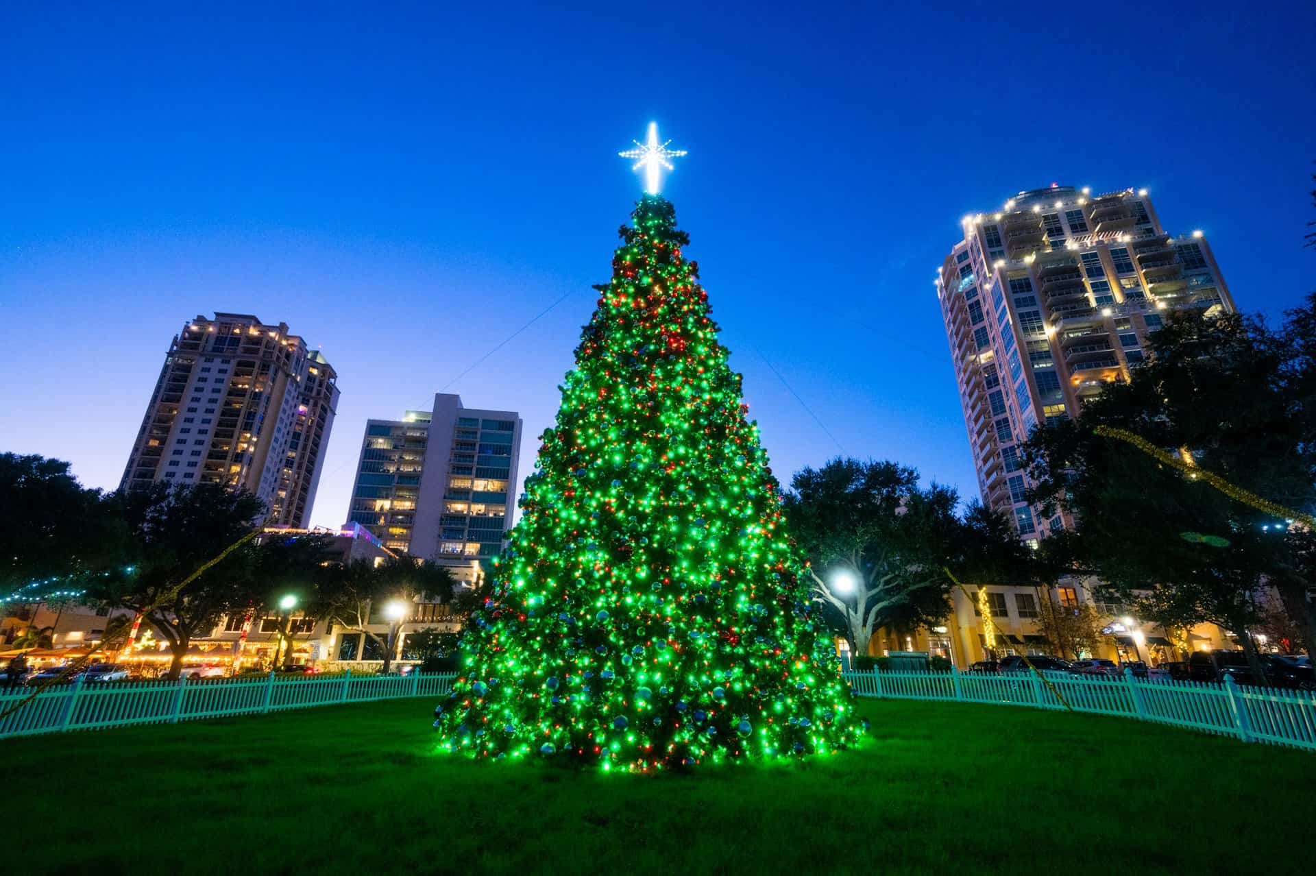 A brightly lit Christmas tree with a glowing star topper stands in a park, surrounded by a white fence and high-rise buildings at dusk.