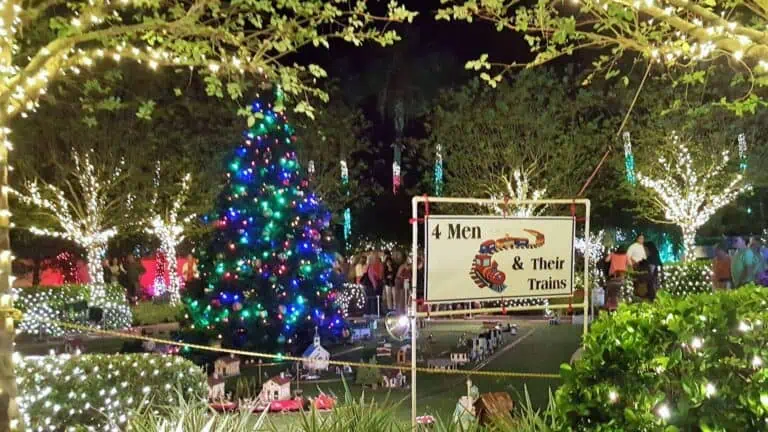 holiday lights arranged in gardens