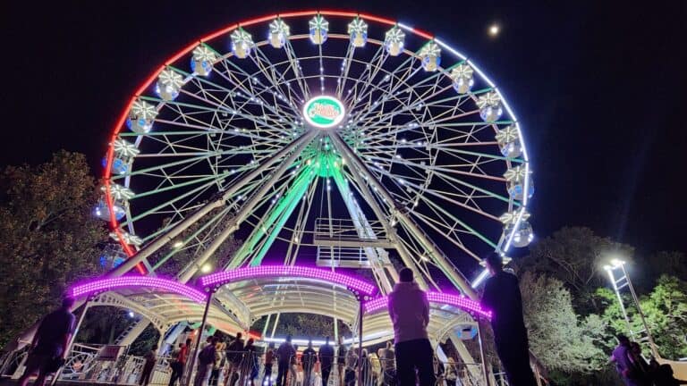 a large ferris wheel lit up at night