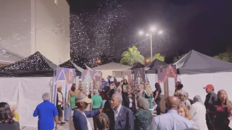 a group of people shopping at an outdoor market