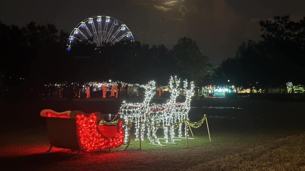 a lit up sleigh and lit up reindeer at night 