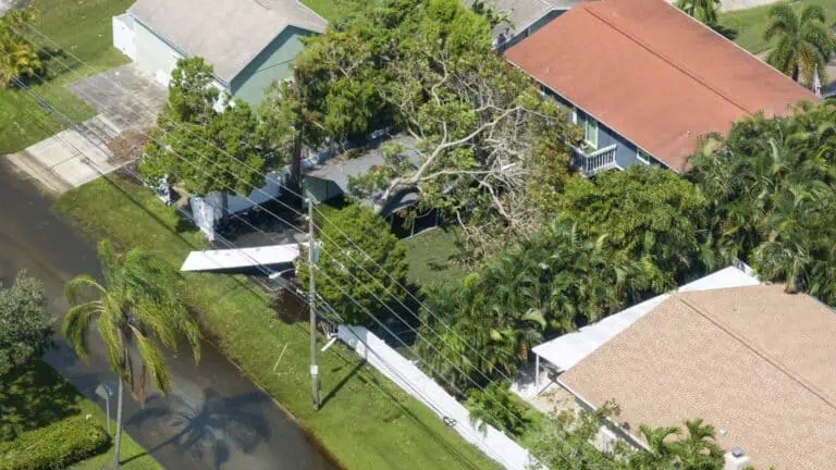 aerial view of a downed tree in a quiet neighborhood