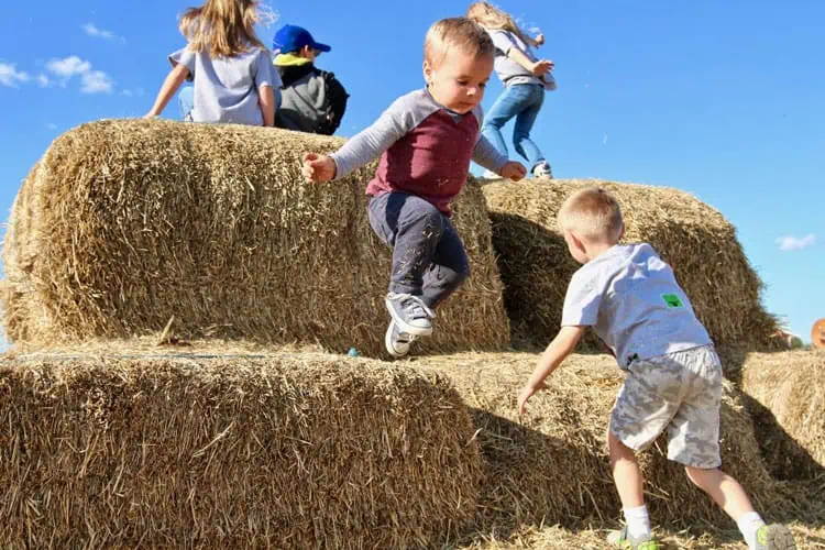 People on a farm