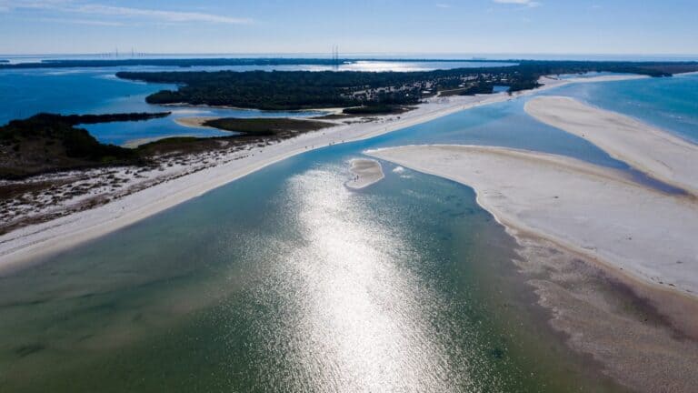 aerial view of a beach