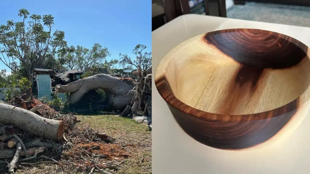 The image juxtaposes a fallen tree in a yard on the left with a beautifully crafted wooden bowl made from its wood on the right, showcasing transformation and artistry.