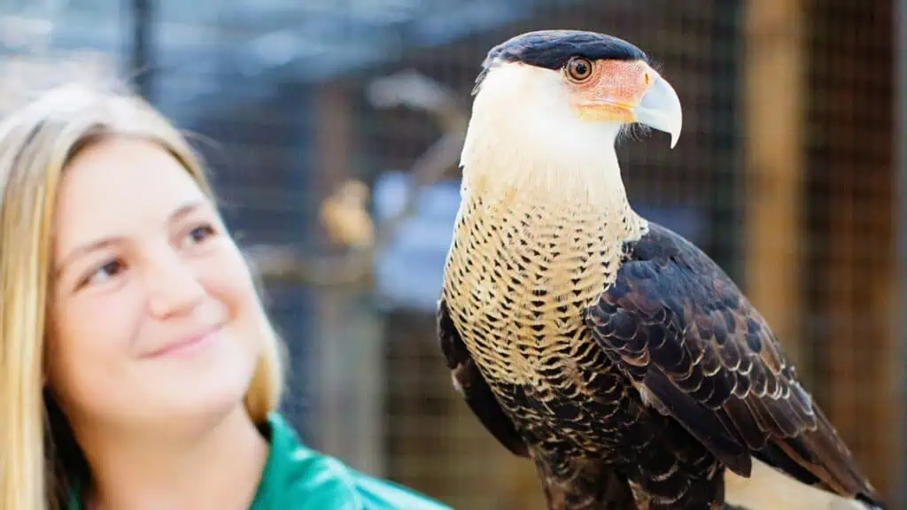 A photo of a person holding a large bird