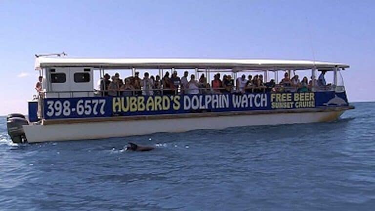 a vessel with multiple people on board. a dolphin is visible