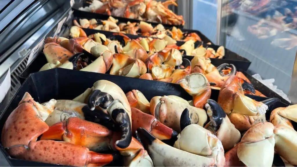 display of crab claws