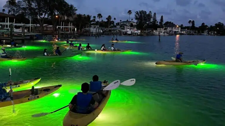 multiple yellow kayaks in the water in Pinellas County at night. the kayaks are lit up and have a green glow around them.