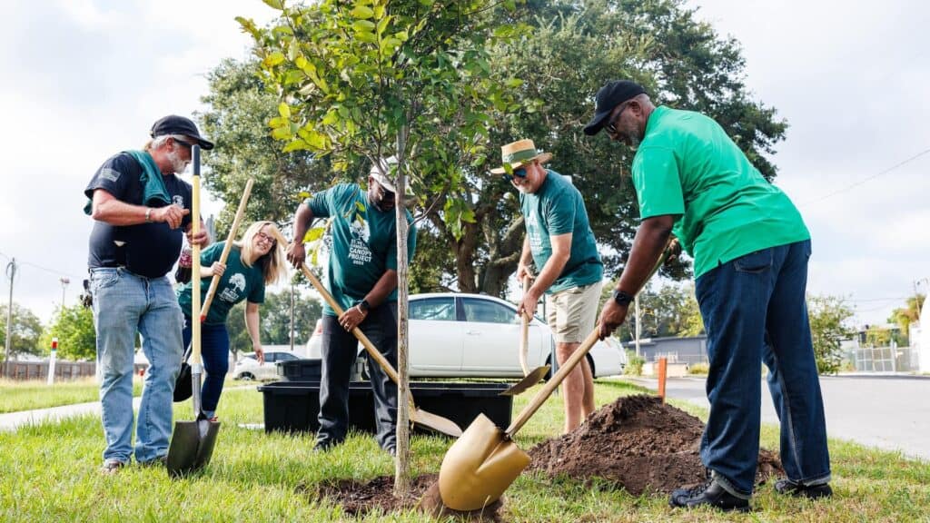 a group of volunteers with shovels help plant trees in a local park in St. Pete. The volunteers are wearing green shirts and are in the act of planting one tree together. Strengthening the tree canopy could be part of the city budget