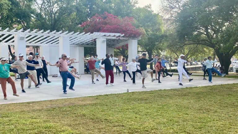 People doing tai chi in a park
